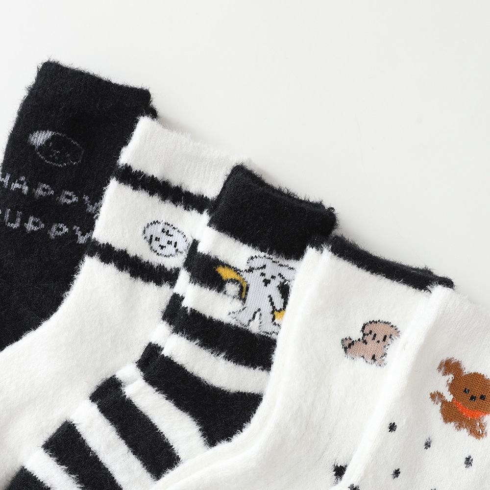 キュービションソックス5種SET